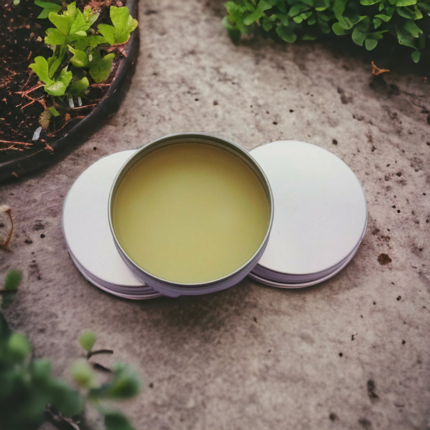 Beeswax Lip Balm