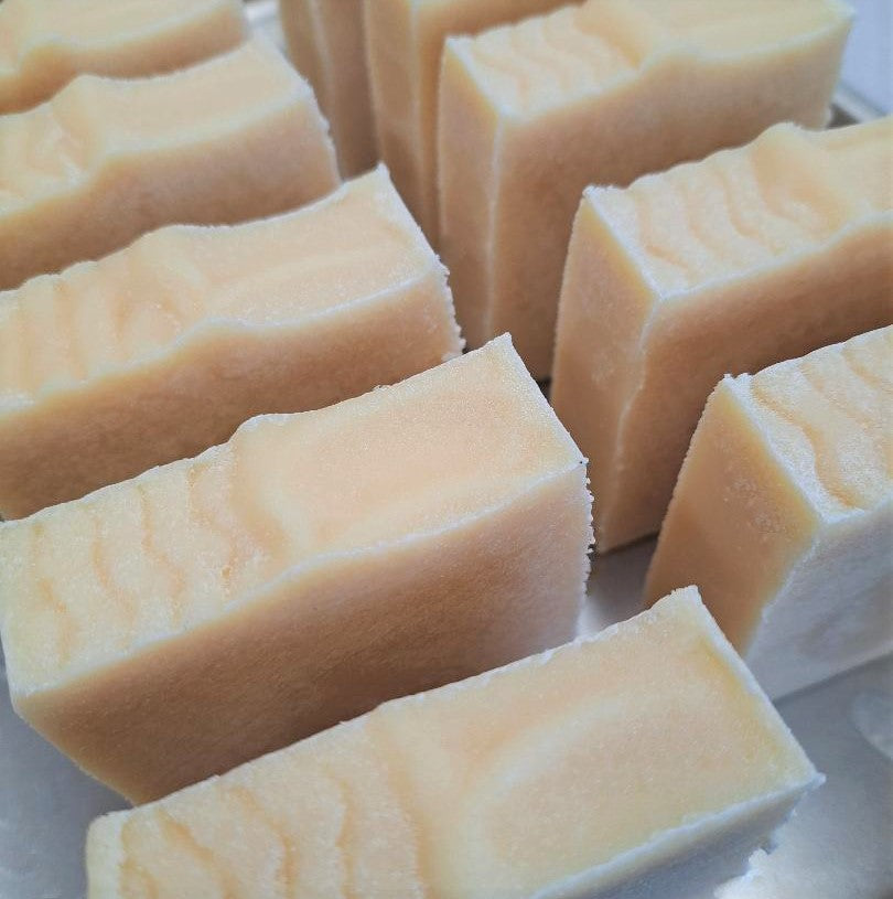 Dog Shampoo Bars