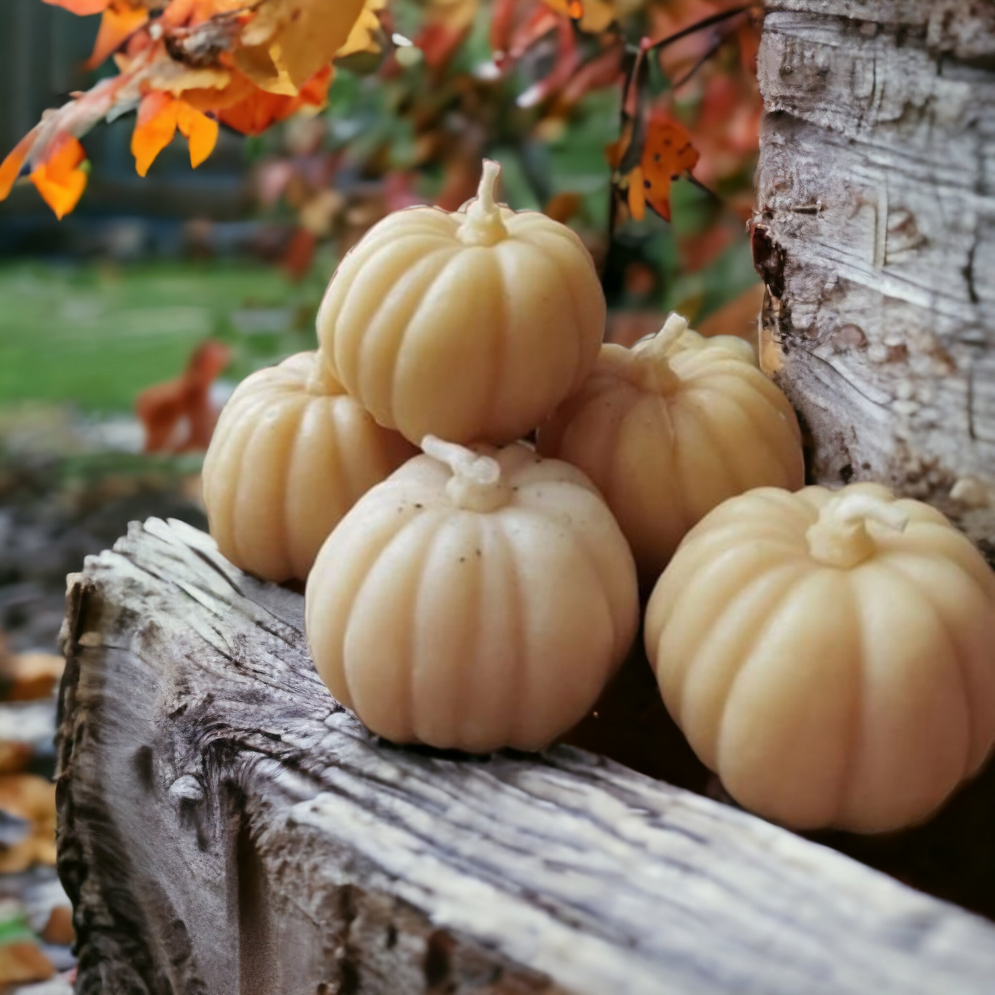 Pumpkin Beeswax Candle