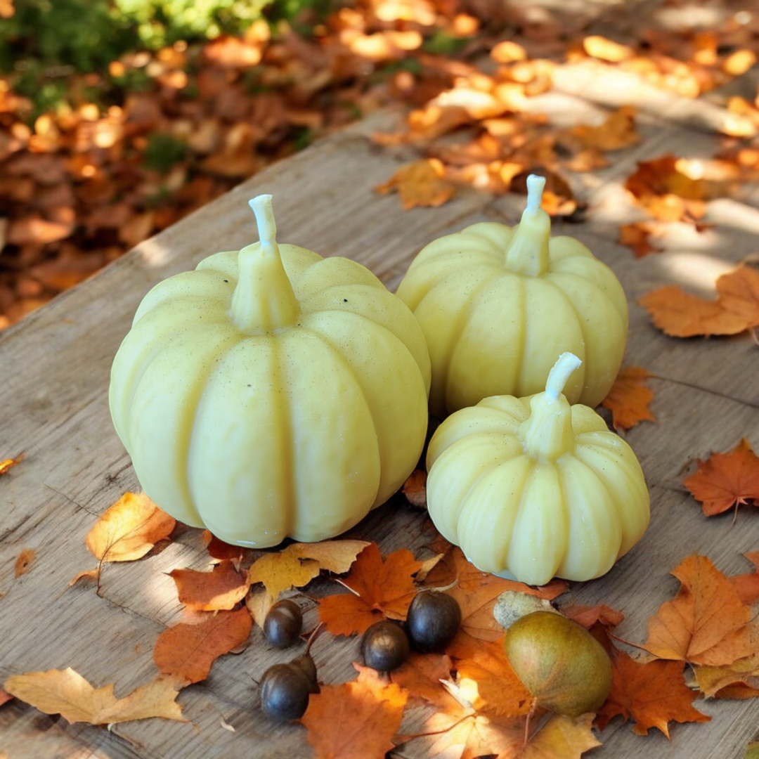 Pumpkin Trio Beeswax Candles