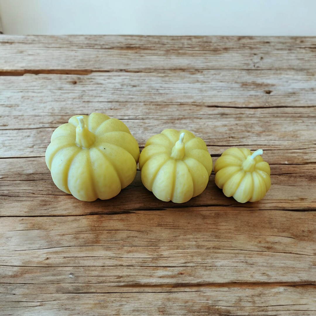 Pumpkin Trio Beeswax Candles