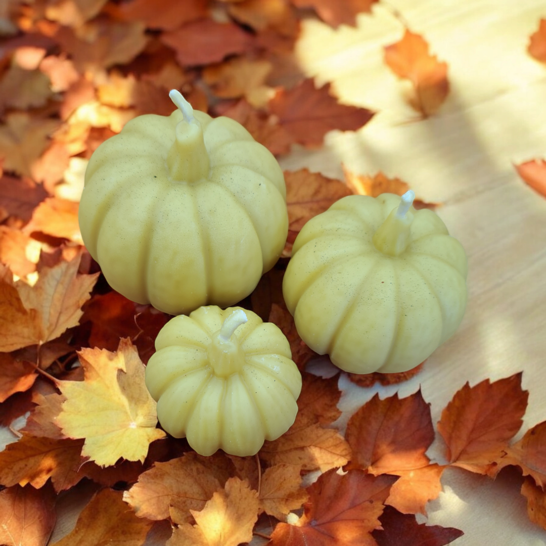 Beeswax Pumpkin Candle Trio