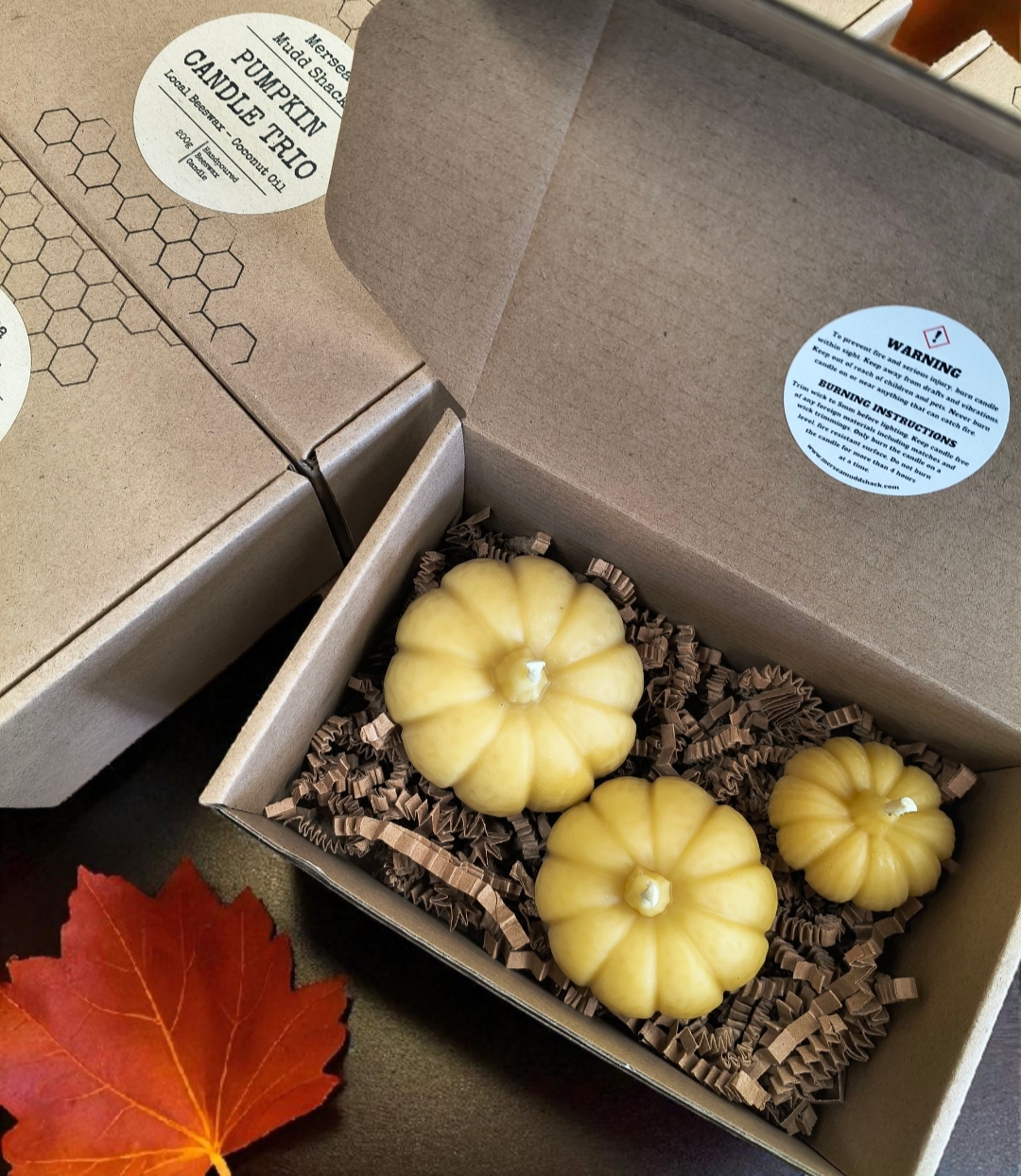 Beeswax Pumpkin Candle Trio